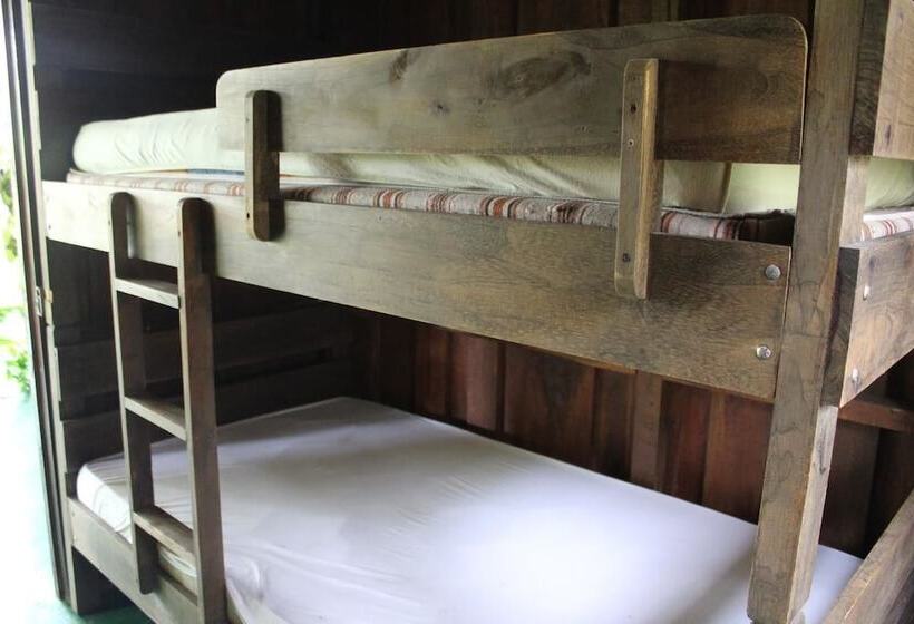 Finca Guarumo   Hostel