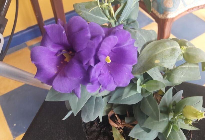 Finca Hotel El Barranco