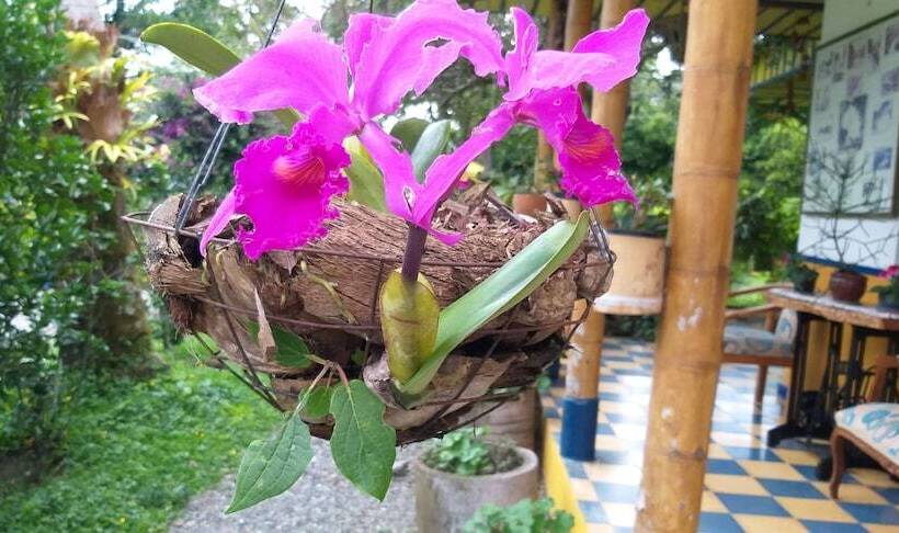 Finca Hotel El Barranco