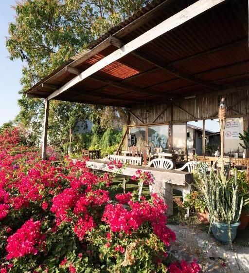 فندق فئة نجمة واحدة Punta Descartes