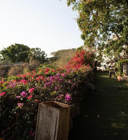 فندق فئة نجمة واحدة Punta Descartes