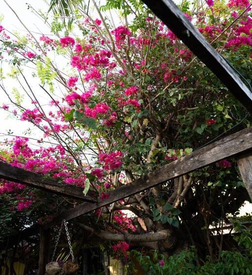 فندق فئة نجمة واحدة Punta Descartes