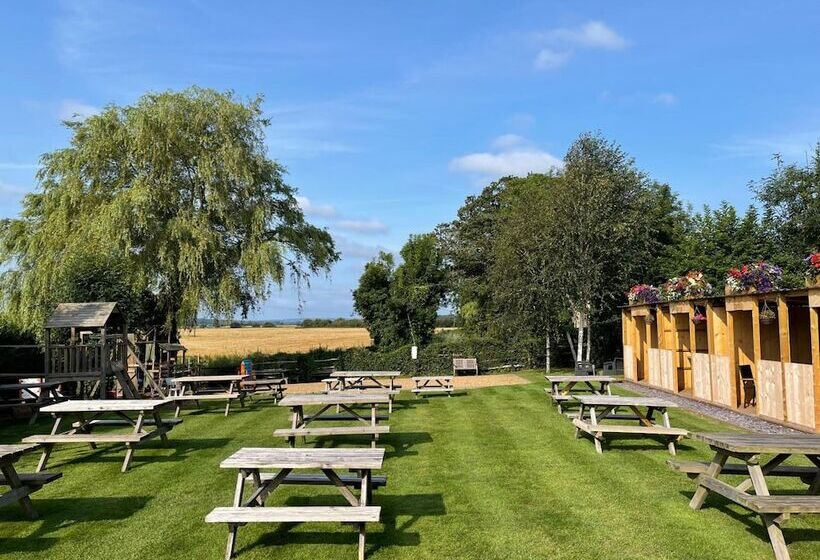 Хостел The White Hart