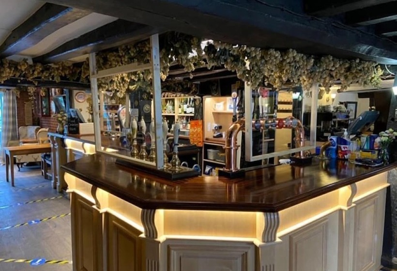 Хостел The White Hart