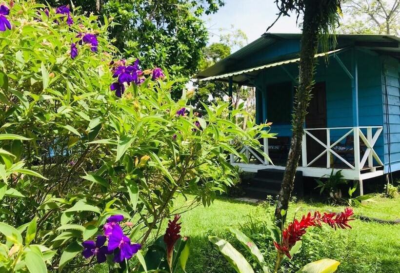 Отель All Rankins Eco Lodge