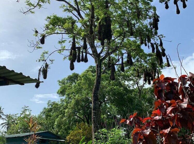 Отель All Rankins Eco Lodge