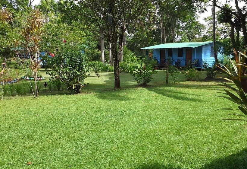 Отель All Rankins Eco Lodge