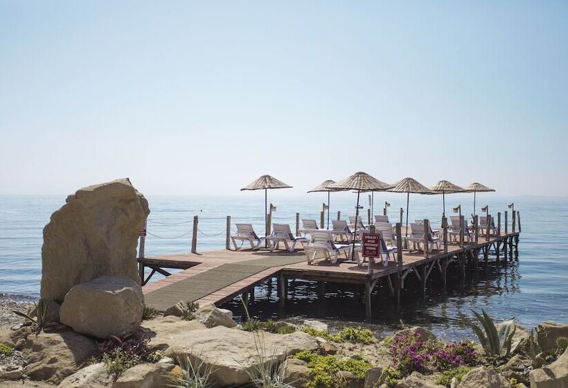 فندق Antique Beach And Bungalow