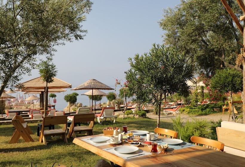 فندق Antique Beach And Bungalow