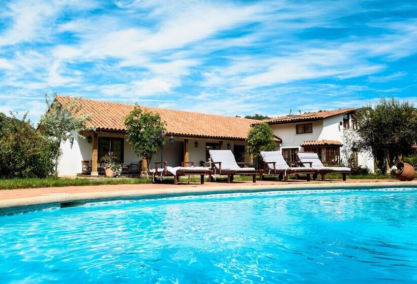 ホテル Boutique Solaz Bella Vista De Colchagua