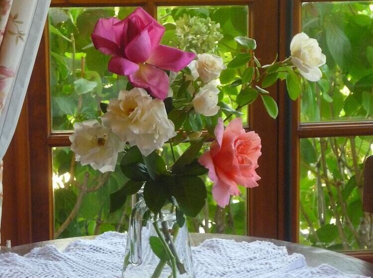 ホテル Boutique Solaz Bella Vista De Colchagua