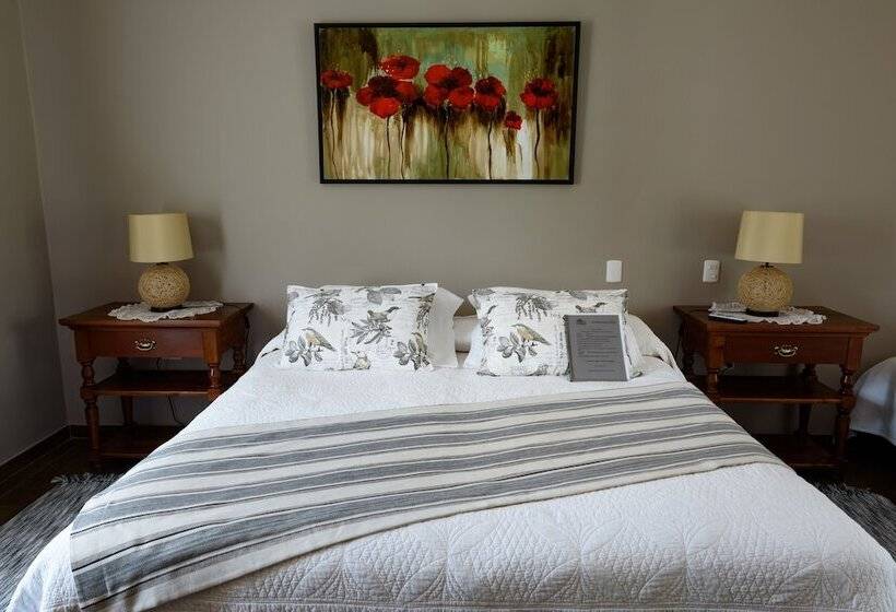 ホテル Boutique Solaz Bella Vista De Colchagua