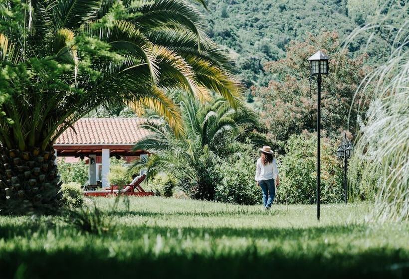 ホテル Boutique Solaz Bella Vista De Colchagua