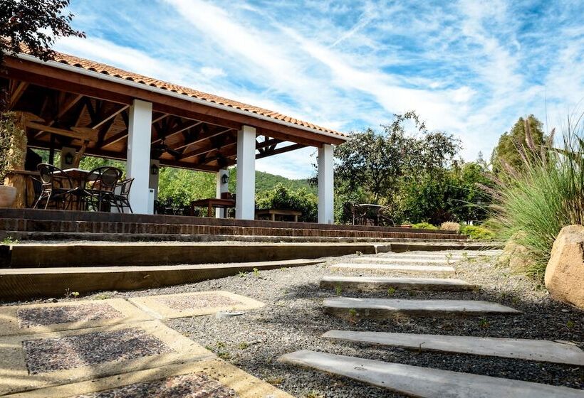 ホテル Boutique Solaz Bella Vista De Colchagua