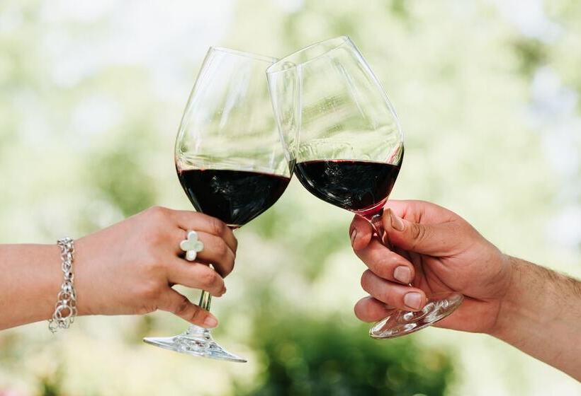 ホテル Boutique Solaz Bella Vista De Colchagua