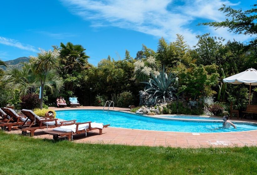 ホテル Boutique Solaz Bella Vista De Colchagua