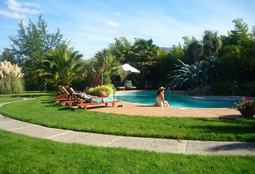 ホテル Boutique Solaz Bella Vista De Colchagua