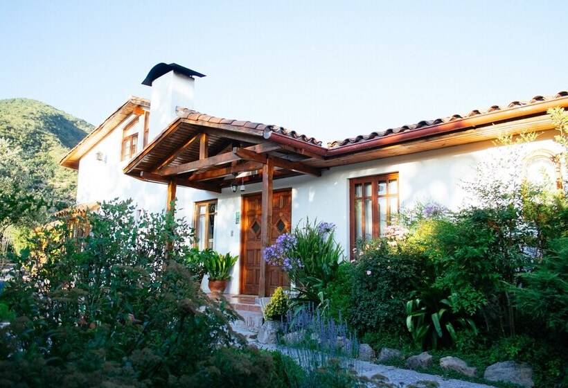 ホテル Boutique Solaz Bella Vista De Colchagua