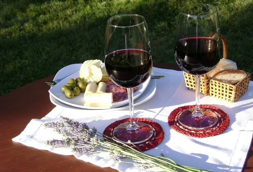 ホテル Boutique Solaz Bella Vista De Colchagua