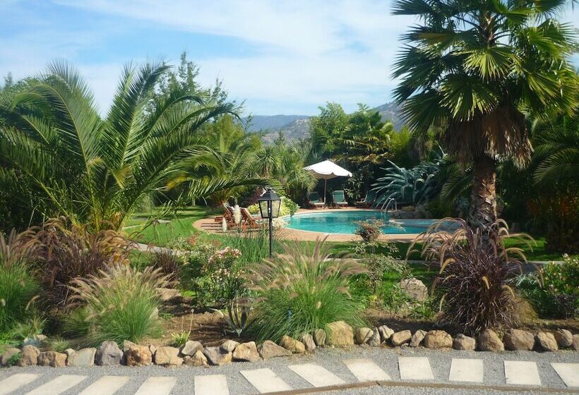 ホテル Boutique Solaz Bella Vista De Colchagua