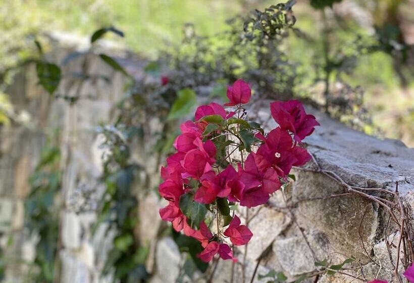 Отель Cabañas Caballieri
