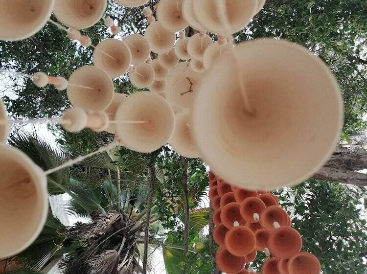 בית מלון כפרי Casa Tinti