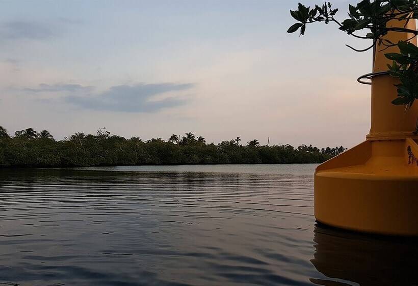 בית מלון כפרי Casa Tinti