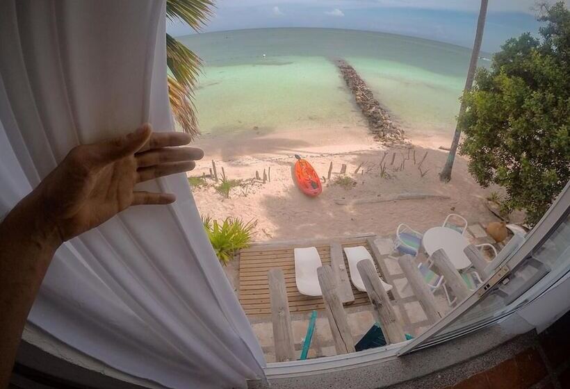 בית מלון כפרי Casa Tinti