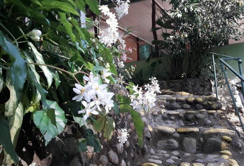 فندق Costa Rica Glamping