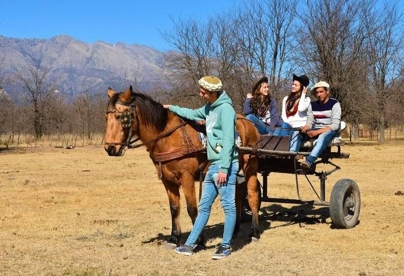 호텔 De Campo Granja El Aromo