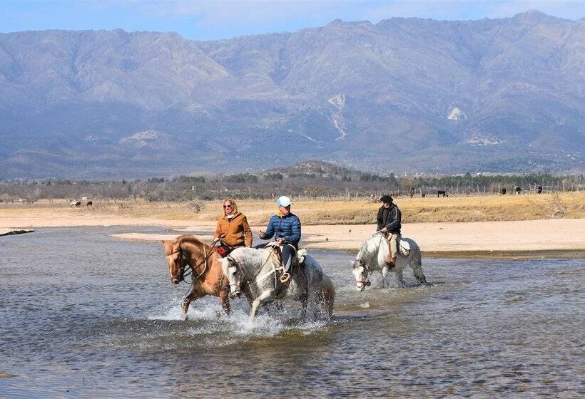 호텔 De Campo Granja El Aromo