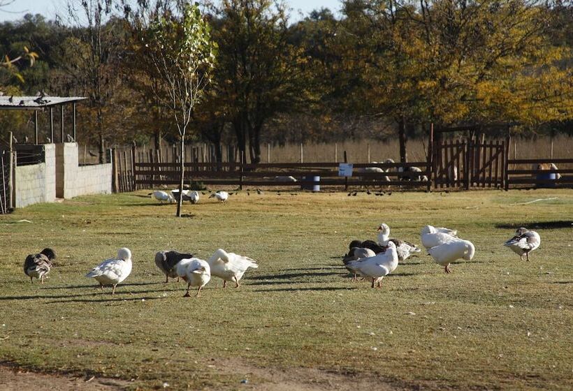호텔 De Campo Granja El Aromo