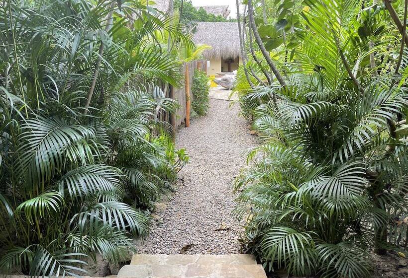 호텔 Ecoxata  Adults Only