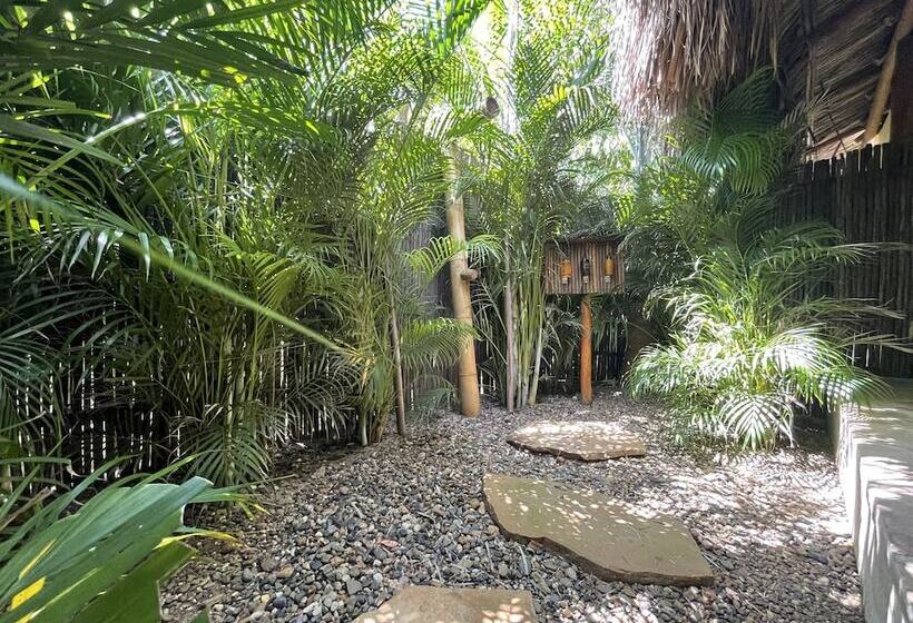 호텔 Ecoxata  Adults Only