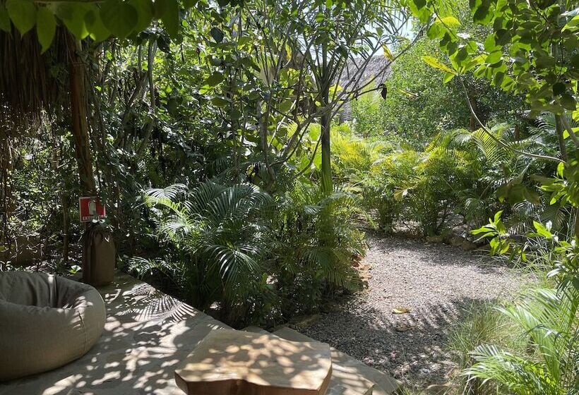 호텔 Ecoxata  Adults Only