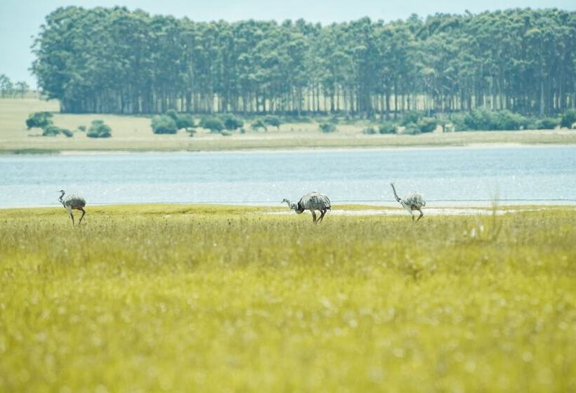 هتل Estancia Anastasio By Folk