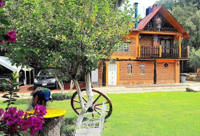 فندق Estrella De Huasca