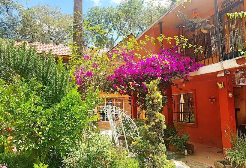 فندق Estrella De Huasca