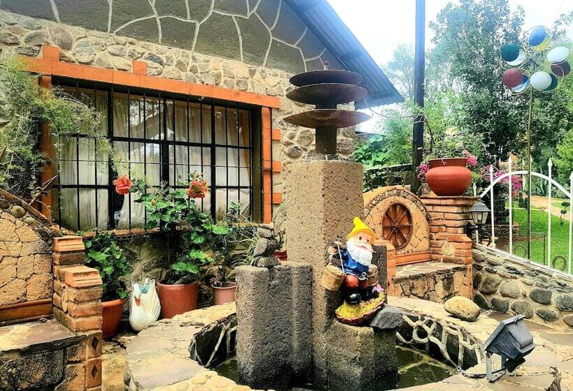 فندق Estrella De Huasca