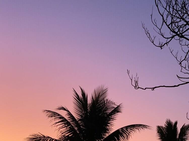 Отель Fauna Pousada