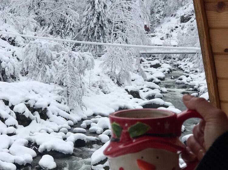 ホテル Foga Bungalov