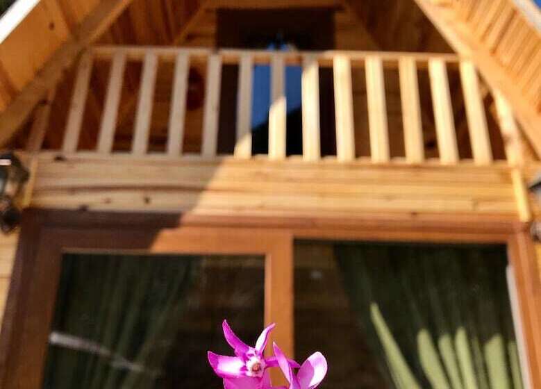 ホテル Foga Bungalov