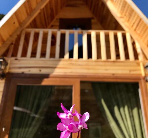 酒店 Foga Bungalov