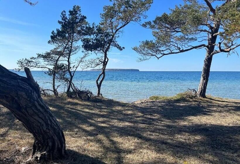 Отель Fröjel Resort & Spa