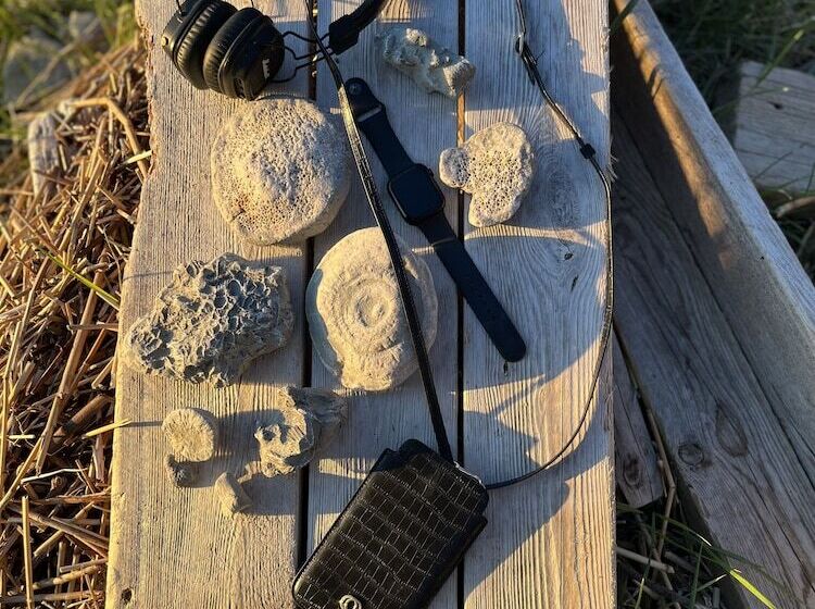 Отель Fröjel Resort & Spa