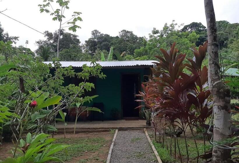 فندق Garden Of Heliconias Lodge