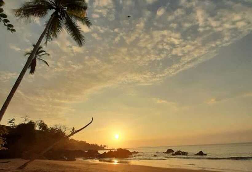 فندق Garden Of Heliconias Lodge