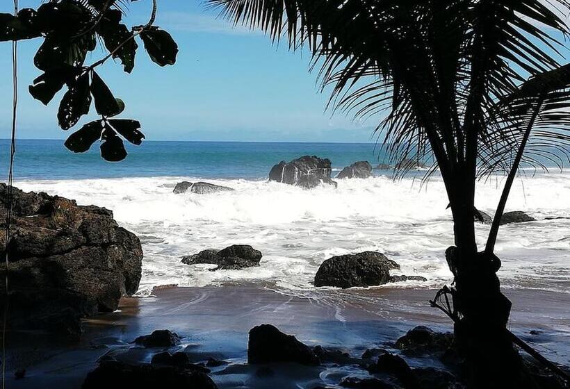 فندق Garden Of Heliconias Lodge