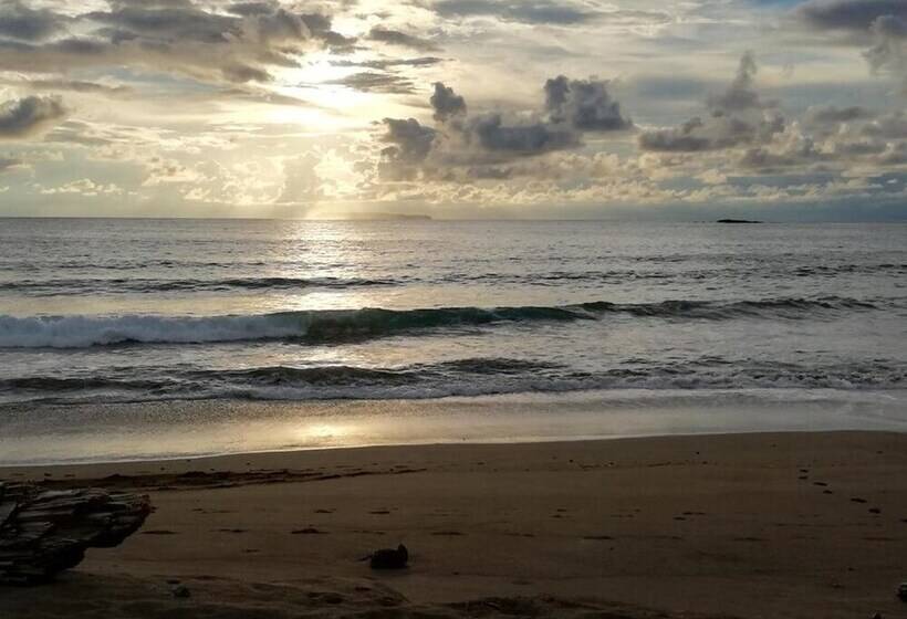 فندق Garden Of Heliconias Lodge