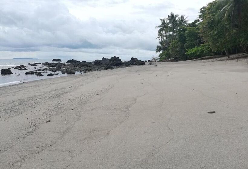 فندق Garden Of Heliconias Lodge